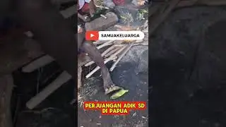 Potret Pendidikan di Pedalaman Makan Seadanya,Belajar Sebisanya #fyp #papua #shortsviral #pendidikan