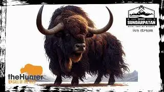 The Hunter:Call of the Wild CZ: Live stream #330 - SPECI&Aacute;L (Part3) - Prav&yacute; tur