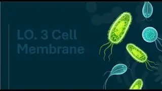G10 Bio LO 3