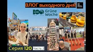 ВЛОГ выходного дня Серия 112 (2) - Сто-летний юбилей выставки 