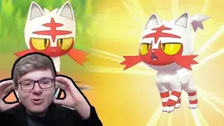 Shiny Litten in ONLY 120 Eggs! - Pokemon Sword and Shield Shiny Reaction