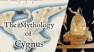 Constellation Mythologies - Cygnus