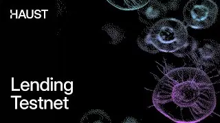 Haust Network: Testnet Lending Role Guide