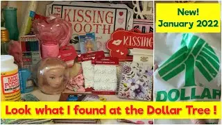 Dollar Tree 🌳 Shopping Spree /  &ldquo;BIG HAUL&rdquo;  January 2022