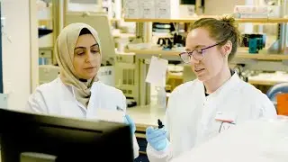 Transplant Diagnostics | Versiti Histocompatibility Lab