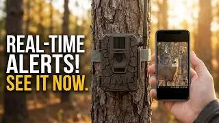 The Best Cellular Trail Cameras of 2025
