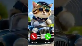 Police is calling #cat #police #ringtone #funny