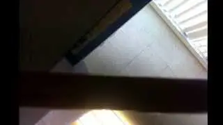 Jacob yhin school