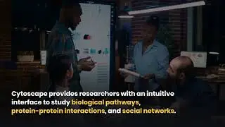 Top 10 Software Tools for Scientific Research