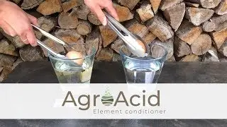 PHC AgroAcid - Practical test: dissolving Calcium (English)