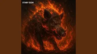 Dzik w amoku