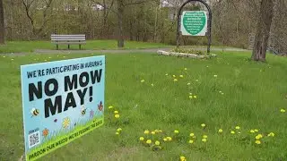 Does 'No Mow May' promote tick habitat? Experts say it may depend on your lawn