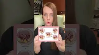 Info on uterine position!