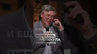 Почему серотонин &ndash; вовсе не гормон радости? Объясняет Вячеслав Дубынин