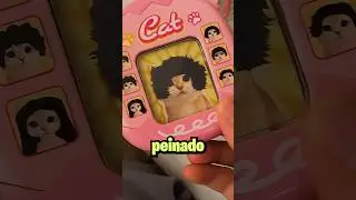 Este michi tiene peluquero