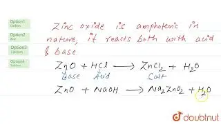 Identify the element that forms amphoteric oxide.  | 12 | NEET MOCK TEST 11 | CHEMISTRY | NTA MO...
