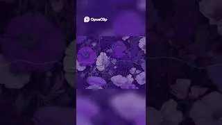 Expressing Gratitude - take care ( Fred again.. / Disclosure / melodic house instrumental type beat)