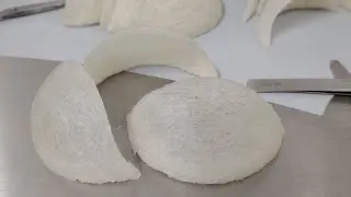 Bard nest processing 