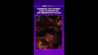 Celebrities Take Grammy Stage to Protest ICE and Immigration Policies