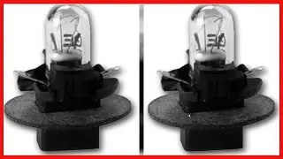 AUTO METER 3219 Bulb and Twist in Socket