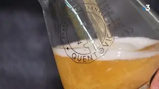 Fabrication de la bi&egrave;re au miel &agrave; la brasserie Quentovic