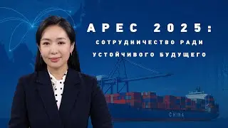 APEC 2025: Сотрудничество ради устойчивого будущего