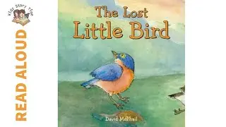 The Lost Little Bird by David McPhail - Story Time | READ ALOUD