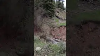 Hidden Gem - Bear Creek - Hoback Canyon