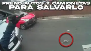 Motociclista Detiene El Trafico Sin Importarle Para Salvar a Un Gatito Beb&eacute;