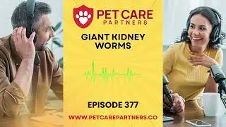 EP 377: Giant Kidney Worm in Pets &ndash; Diagnosis, Lifecycle, and Clinical Impact | Pet Care Partners