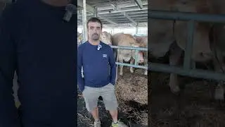 Interview : Laurent CAUBET, &eacute;leveur (GAEC AU DRUMACET)