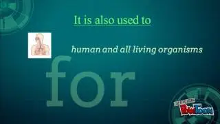 oxygen importance