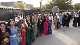 Ahmet Boynuz Düğünü Part 3 ( Şükrü Silopi ) 2023