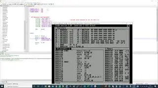 Amiga Assembly Real Debugging Examples
