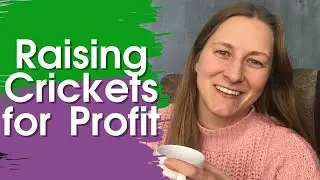 Can you make money raising crickets? | Things to consider when cricket farming for profit