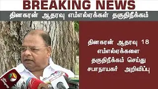தகுதிநீக்கத்தை எதிர்த்து நீதிமன்றத்தில் முறையிடுவோம் - வெற்றிவேல் | TTV Dhinakaran MLAs disqualify