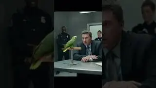 Parrot Gets Interrogated Over Mango! #parrot #ai #funny#shorts