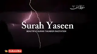 Surah Yaseen (Full) | Beautiful & Heart Touching Quran Recitation |  سورة يس | Ep002