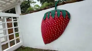 INSIDE LA PRESA STRAWBERRY FARM | SERGIO OSME&Ntilde;A, ZAMBOANGA DEL NORTE