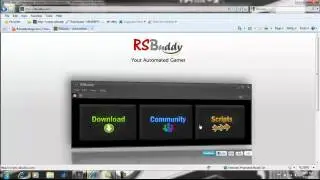 Rsbuddy Guide