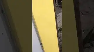 Comfort zone level 100 lvl.#funny #dog #shortvideo #shorts