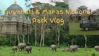 I visited Guwahati & Manas National Park | Full Vlog