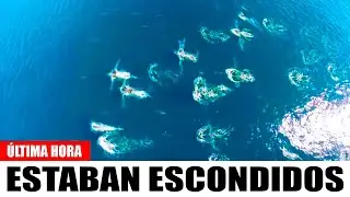Un Dron Hizo Un Descubrimiento Escalofriante En Medio De La Nada