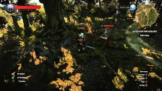 The Witcher 3 Combat Finishers
