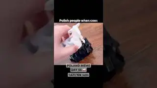 POLISH COW 🐄🇵🇱😂 #funny #poland #memes