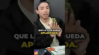 C&oacute;mo Seco mi Cosecha?