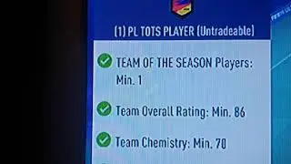Premier League Team of the Season SBC Reveal