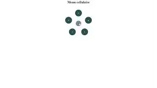 Menu cellulaire