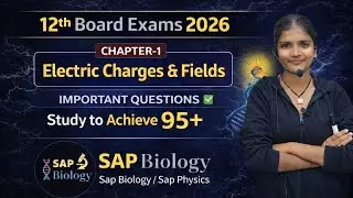 Class 12 Physics Chapter 1 | Electric Charges & Fields | Most Important Questions | Board Exam 2026 