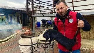 НУТРИЯ - БАРБЕКЮ. 🍖 МЯСО В ТАНДЫРЕ.🍷